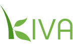kiva