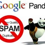 Google update how google panda has changed website creation