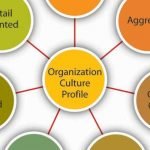 What role does organization culture play in an organization – jsm