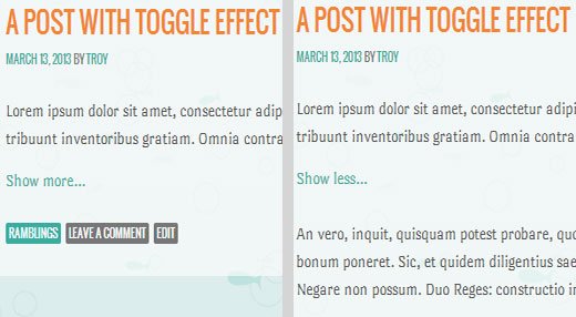 How to Show and Hide Text in WordPress Posts with the Toggle Effect